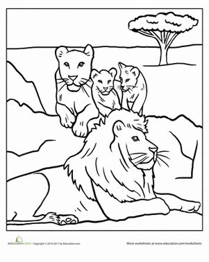 an animal coloring page with three lions and two cubs on the ground in ...