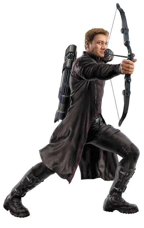 Hawkeye PNG Transparent Images | PNG All