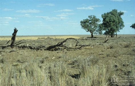 Augathella | Queensland Places