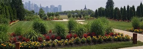 Best Plants for a Commercial Property - Landscape Solutions