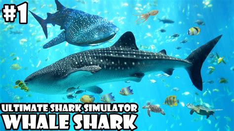 Shark Simulator Gameplay - compfasr