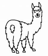 Llama Coloring Pages Cute Alpaca Lama Color Llamas Line Drawing  sketch template