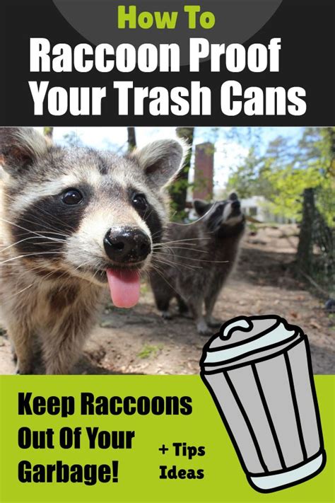 How To Keep Raccoons Out Of Garbage With Raccoon Proof Trash Cans | Trash can storage outdoor ...