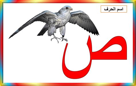 صور خلفيات حرف الصاد روعه اقوى صور حرف الصاد , بوستات للحروف العربية ...