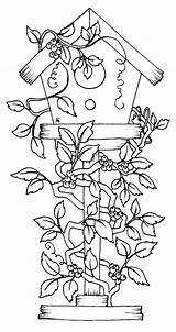 Birdhouse Coloring Pages At GetColoringscom  Free Printable Colorings sketch template