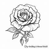 Realistic Rose Coloring Pages  Free & Printable sketch template