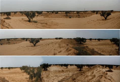 Example of sand encroachment area in the Jeffara-Medenine plain ...