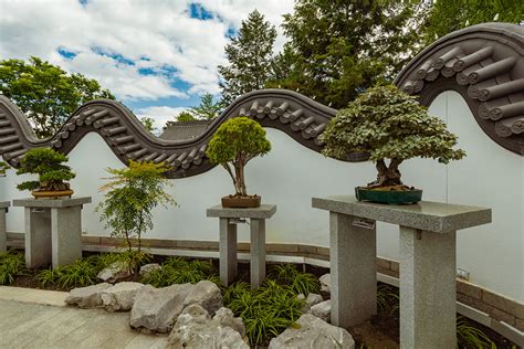 Top 25 Bonsai Gardens in the World - Hooked on Bonsai