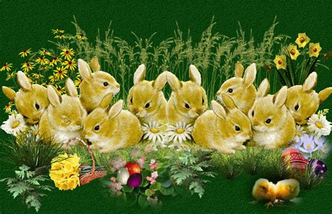 Happy Easter easter easter bunny easter quote happy easter easter gif easter greeting easter ...