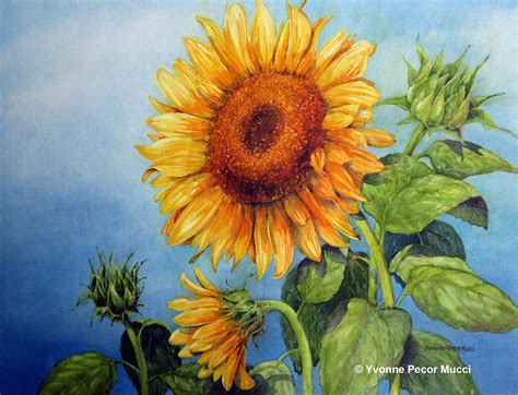 Sunflower Watercolor Painting at GetDrawings | Free download