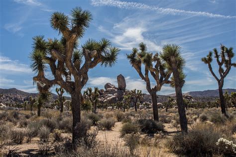 The end of the Great American Desert? - Earth.com