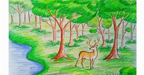 Pencil Simple Rainforest Drawings Easy - bmp-urban