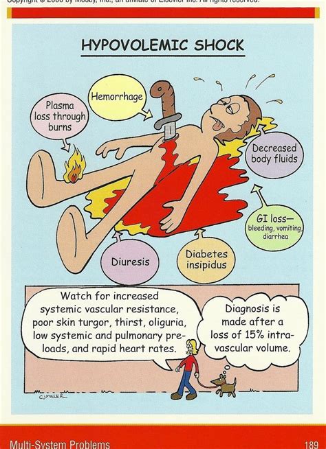 Nursing Case Study Hypovolemic Shock – — วารสารโรงพยาบาลมหาสารคาม