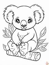Koala Coloring Pages Printable At Tarbryceblog Blog sketch template