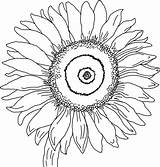 Sunflower Coloring Pages For Kids sketch template
