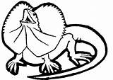 Realistic Lizard Coloring Pages At GetColoringscom  Free printable sketch template