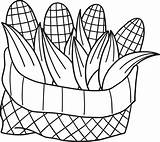 Thanksgiving Harvest Corn Isolated Coloring Page 8208614 Vector Art At  sketch template