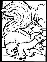 Skunk 8 Coloring Page  Free Printable Pages For Kids sketch template