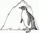 Free Printable Penguin Coloring Pages For Kids sketch template