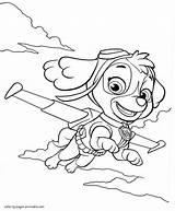 Paw Patrol Sky Coloring Sheets Pages Sketch Coloring Page sketch template