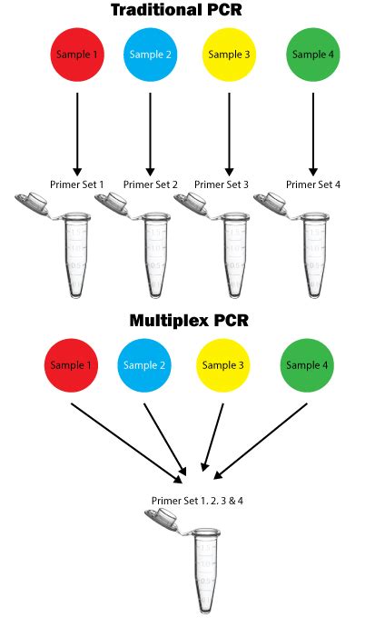 Multiplex PCR, Benefits over traditional PCR