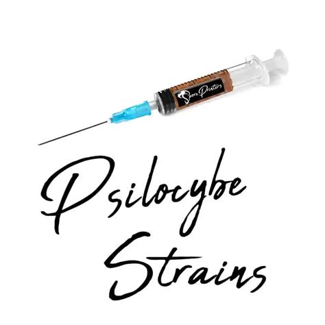 Psilocybe Spore Syringes | Etsy or Reddit? Buy From A Trusted Co.