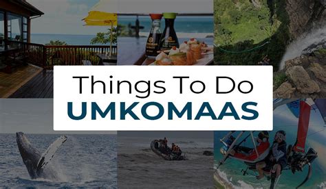 Top Things To Do In Umkomaas While On Holiday - Travel To Dive