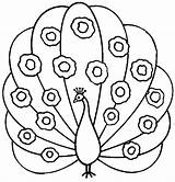 Printable Peacock Coloring Pages Free Color  Vrogueco sketch template