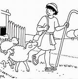 Shepherd Coloring Pages sketch template