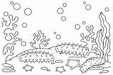 Pictures Sea Cucumber Coloring Page  Free Printable Coloring Pages sketch template