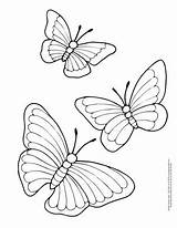 Butterfly Coloring Pages  Free Printable From Cute To Realistic sketch template