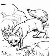 Fox Coloring Desert Pages Smiling Para Colorir Animais Desenho Desenhos  sketch template