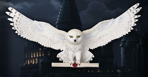 Harry Potter: 10 Hedwig Tattoos Devoted Fans Will Love