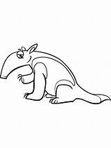 Anteater coloring Pages sketch template