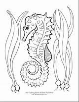Seahorse Coloring Pages Printable sketch template