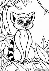 Lemur Coloring Pages 5 Free Printables sketch template