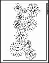 Daisy Coloring Pages 15  Customizable PDFs sketch template