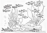 Fish Tank Coloring Sheets Pages sketch template