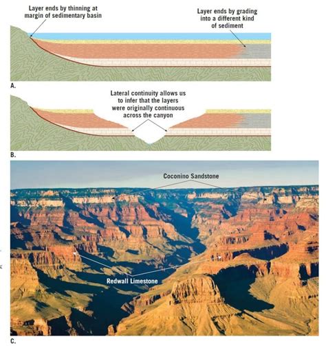 25+ What Is Lateral Continuity in Transparent Images [175kb] - Cute PNG ...