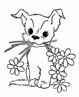 Dog And Flowers  Coloring Pages sketch template