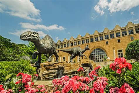 Dinosaur Plaza in front of Fernbank Museum of Natural History in Atlanta Georgia | Carmen K ...