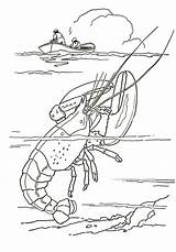 A Lobster coloring Page  Download Print Or Color Online For Free sketch template
