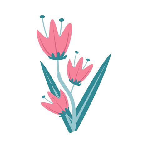 Premium Vector | Illustration of flower