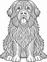 Coloring Page For Kids  Newfoundland Black And White Line Art sketch template