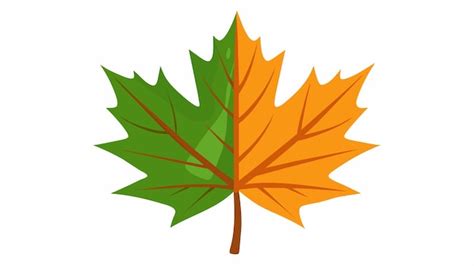 Premium Vector | Maple leaf vector art explore natures beauty in ...