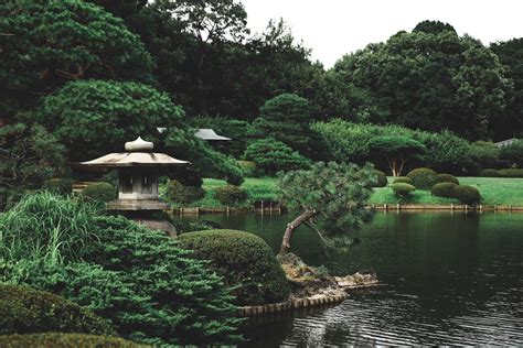 Japan's Most Beautiful Gardens: Tokyo, Kyoto, & Beyond