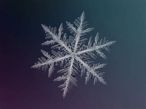 Stunning Macro Details of Uniquely Beautiful Snowflakes With An ...