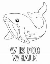 Whales coloring pages  ColoringLib sketch template