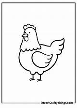Chicken Coloring Pages sketch template