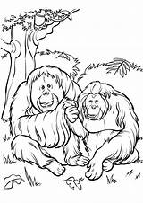 Mother Gorilla Page Coloring Pages sketch template